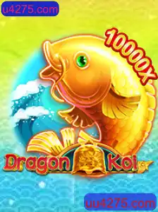 Explorando o Mundo Fascinante de DragonKoi