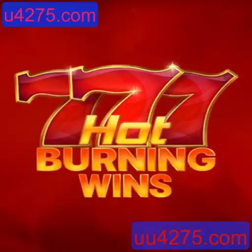 Explorando o Mundo de 'HotBurningWins': Regras, Estratégias e Novidades