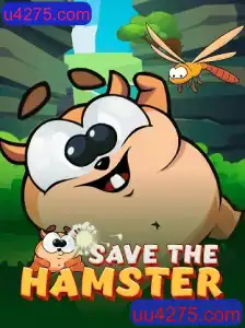 SavetheHamster: Um Mergulho no Mundo Interativo dos Hamsters